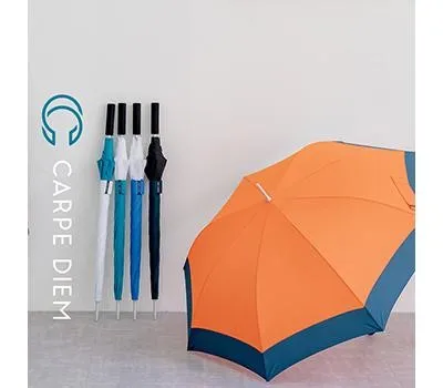 카르페디엠 심플 골프우산