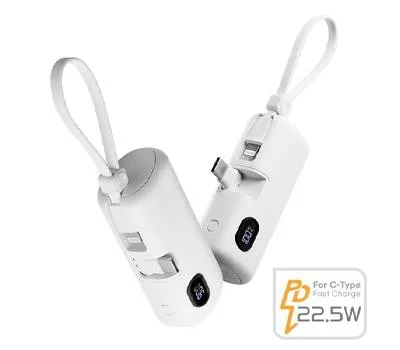 ALIO도킹액정형고속충전PD22.5W아이패스트보조배터리